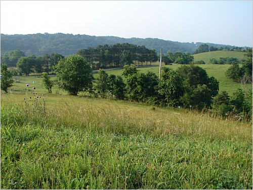 Bentonville, AR House - For Sale
