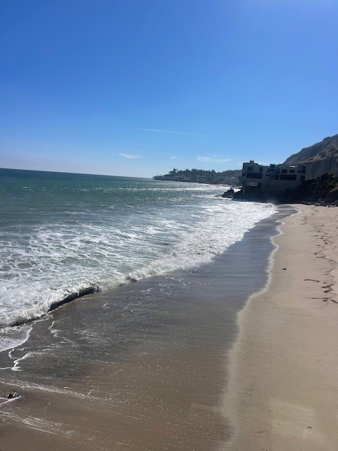 Elfyer - Malibu, CA House - For Sale