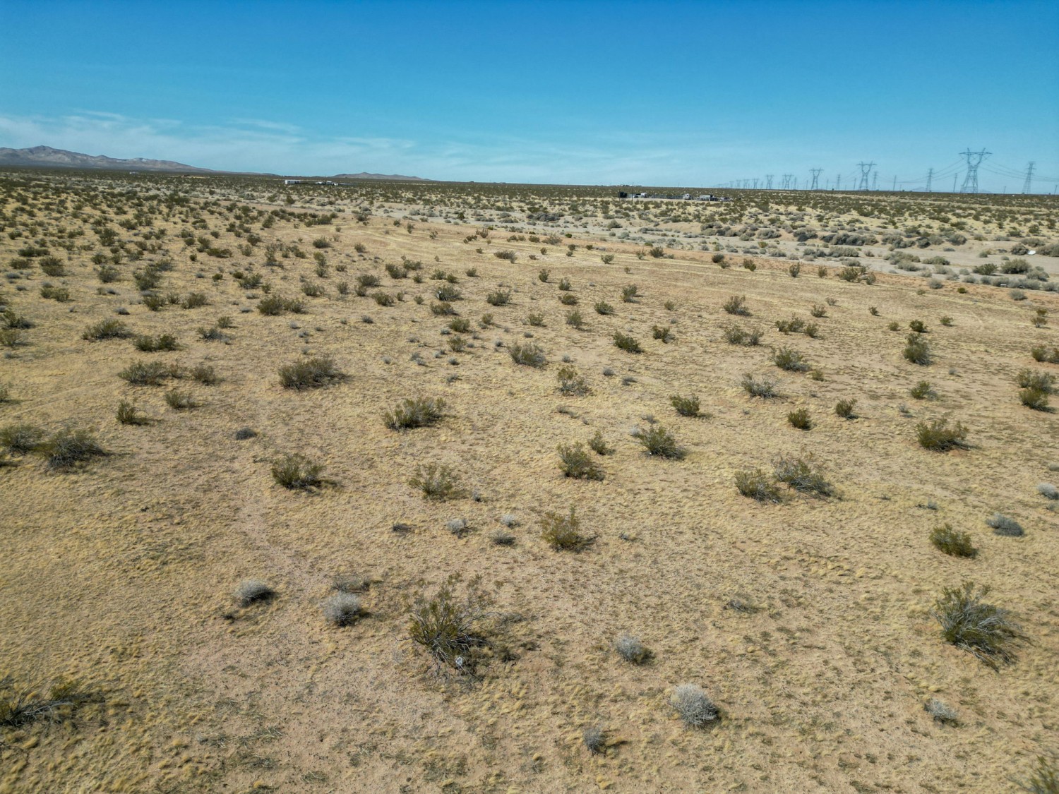 Elfyer - Adelanto, CA House - For Sale