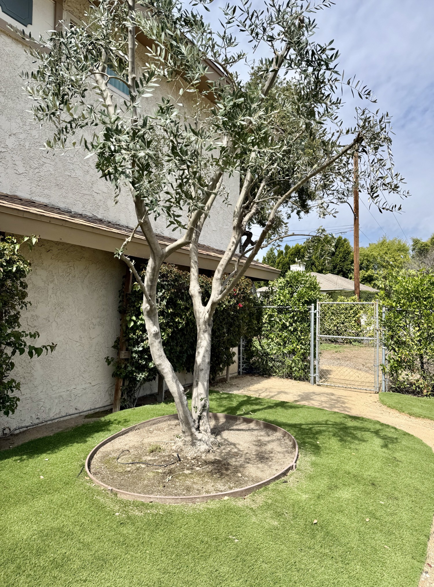 Elfyer - San Gabriel, CA House - For Sale