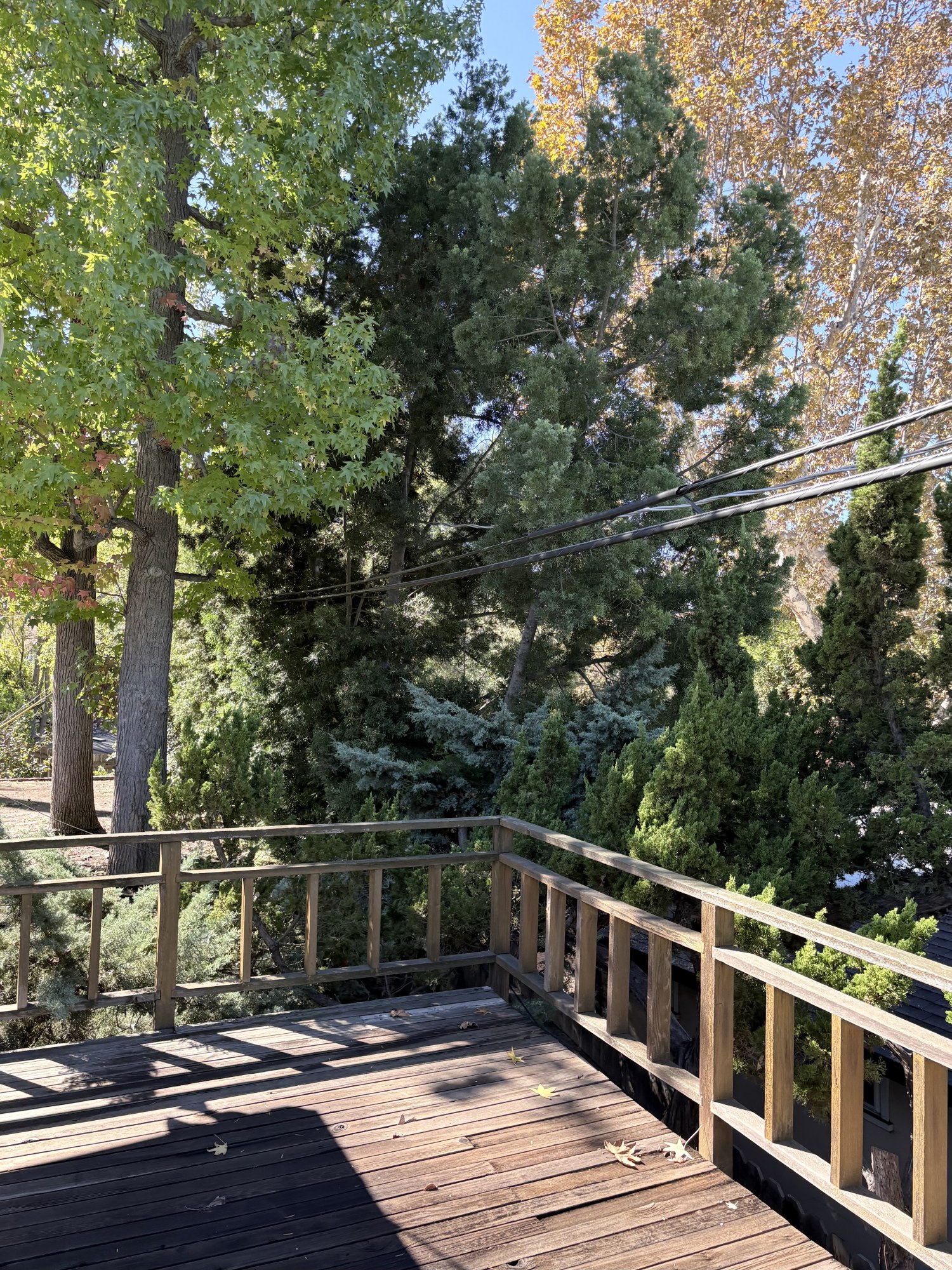 Elfyer - Pasadena, CA House - For Sale