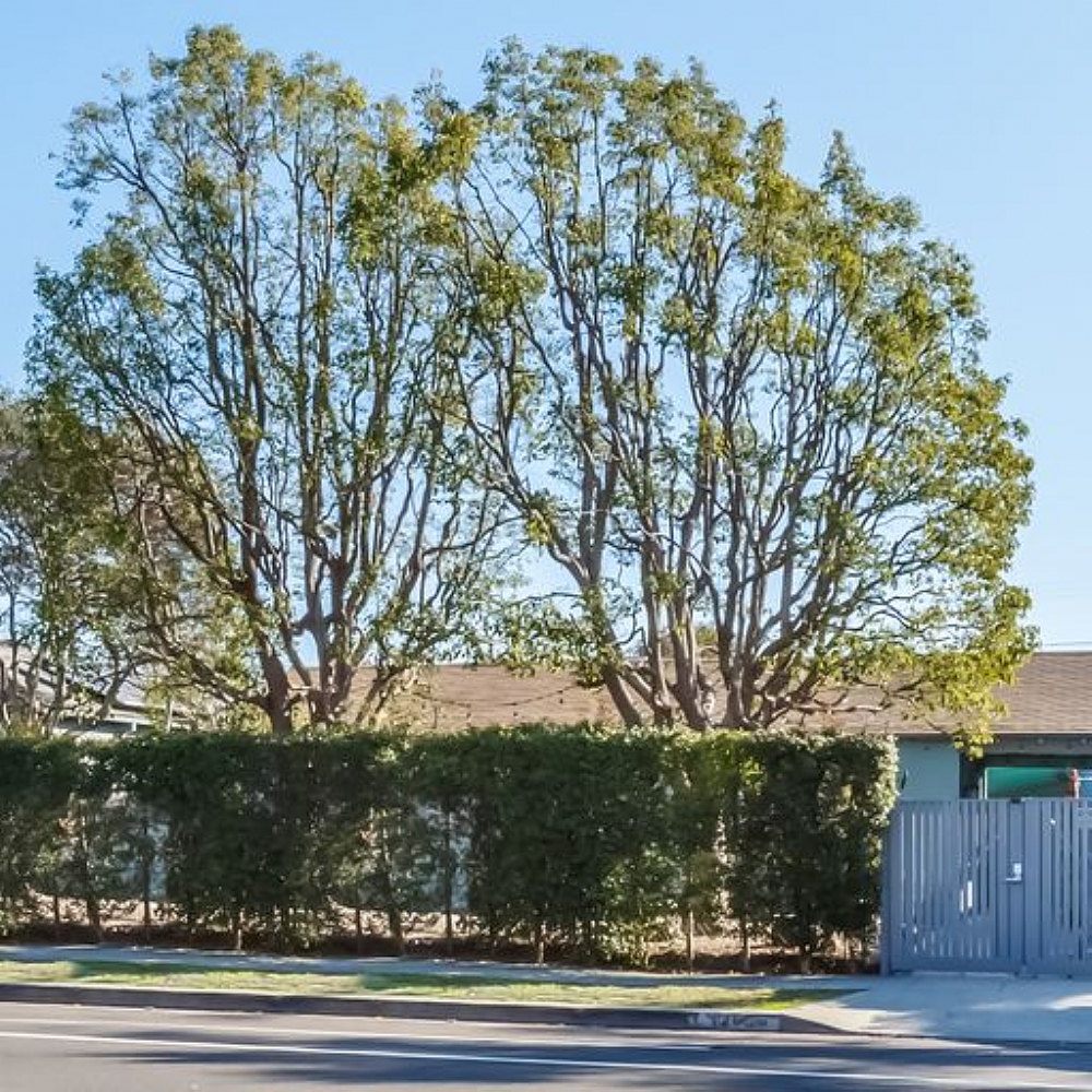 Elfyer - Los Angeles-Marina Del Rey 'Del Rey Neighborhood', CA House - For Sale