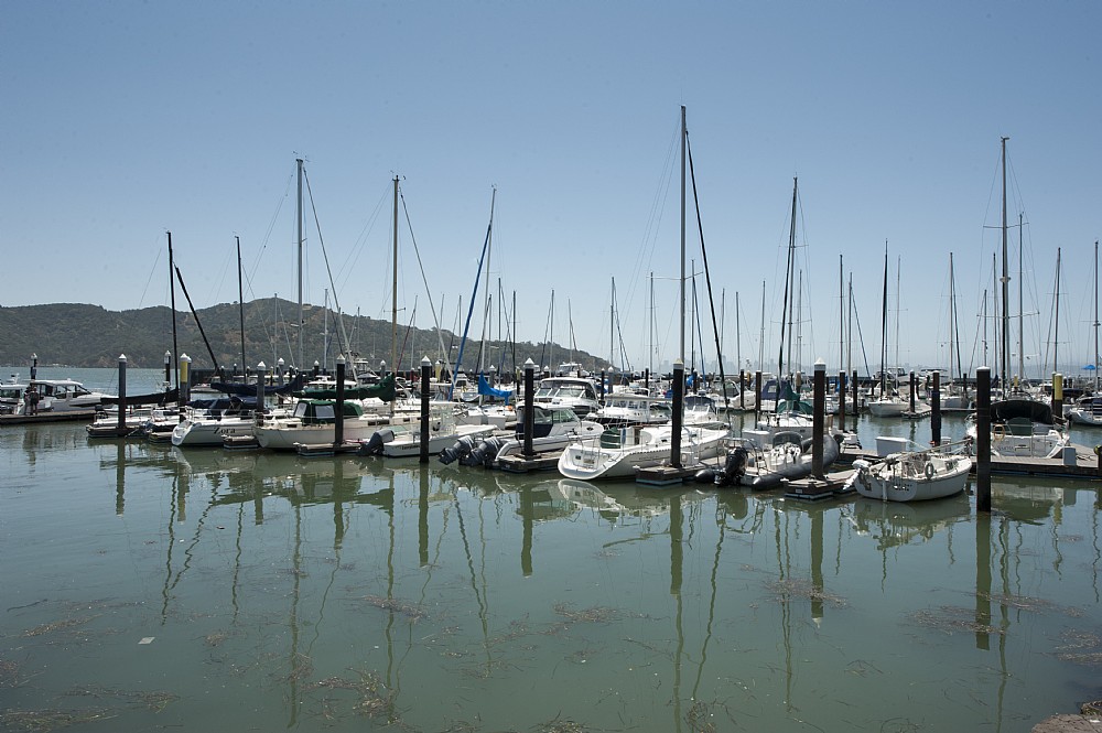 Elfyer - Tiburon, CA House - For Sale