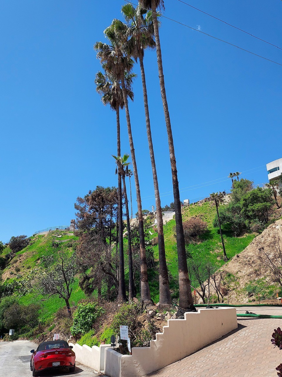 Elfyer - Altadena, CA House - For Sale