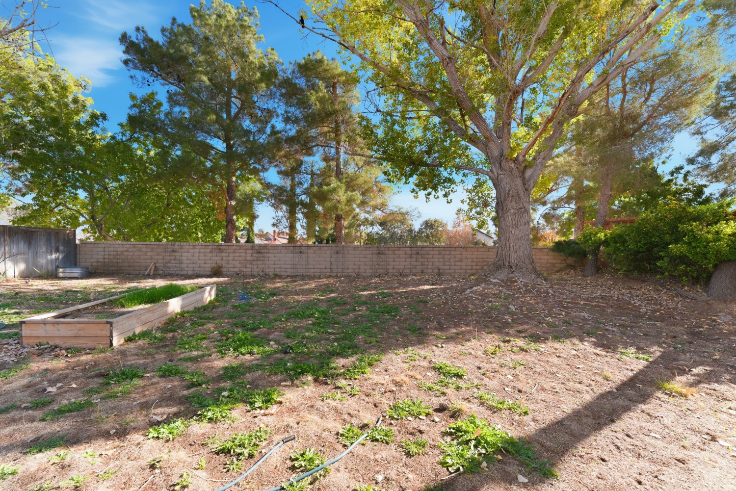 Elfyer - Palmdale, CA House - For Sale