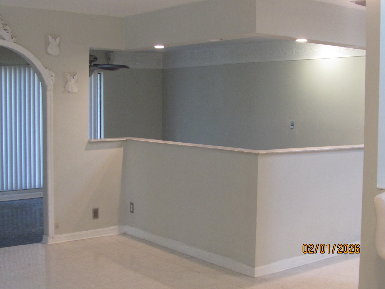 Elfyer - Land O Lakes, FL House - For Sale