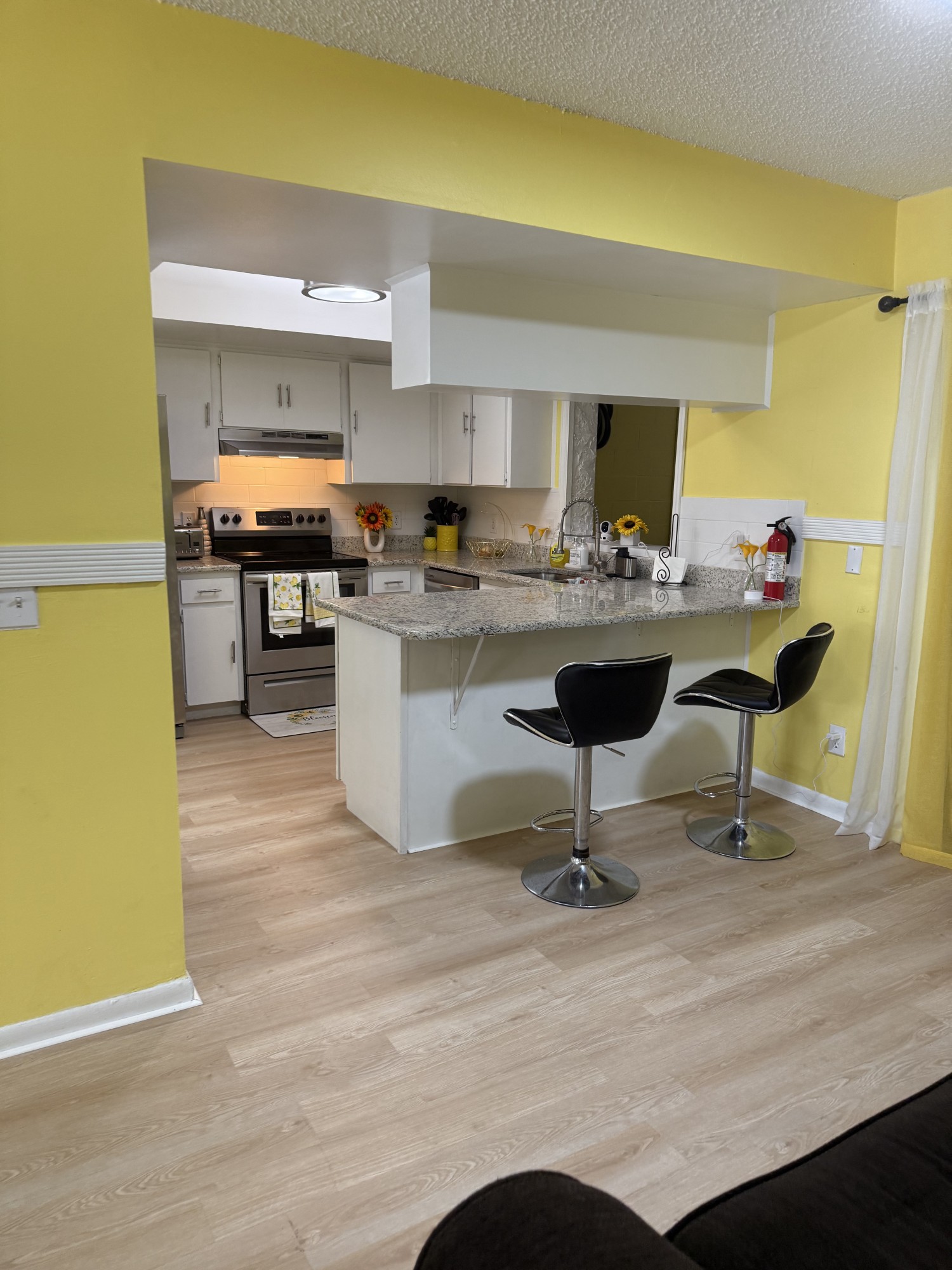 Elfyer - Valrico, FL House - For Sale