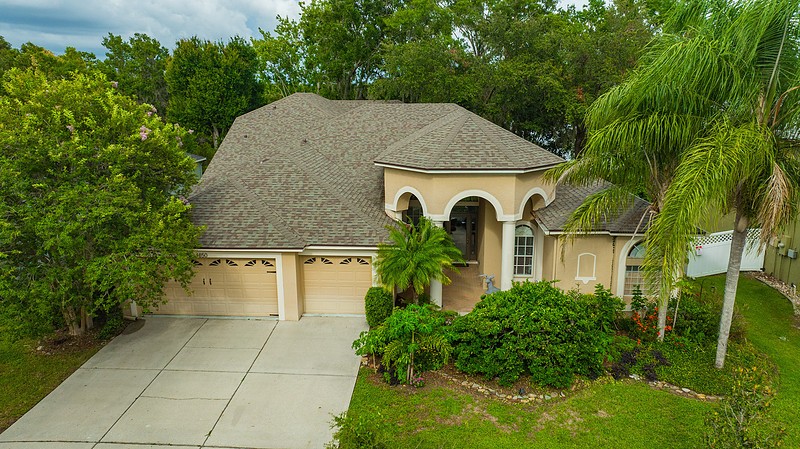 Elfyer - Land O Lakes, FL House - For Sale