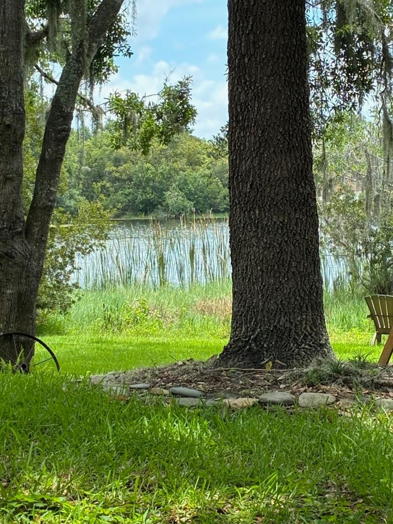 Elfyer - Land O Lakes, FL House - For Sale