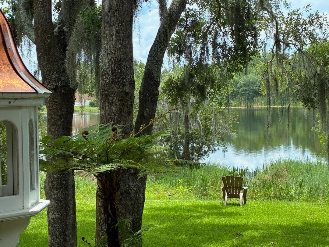 Elfyer - Land O Lakes, FL House - For Sale