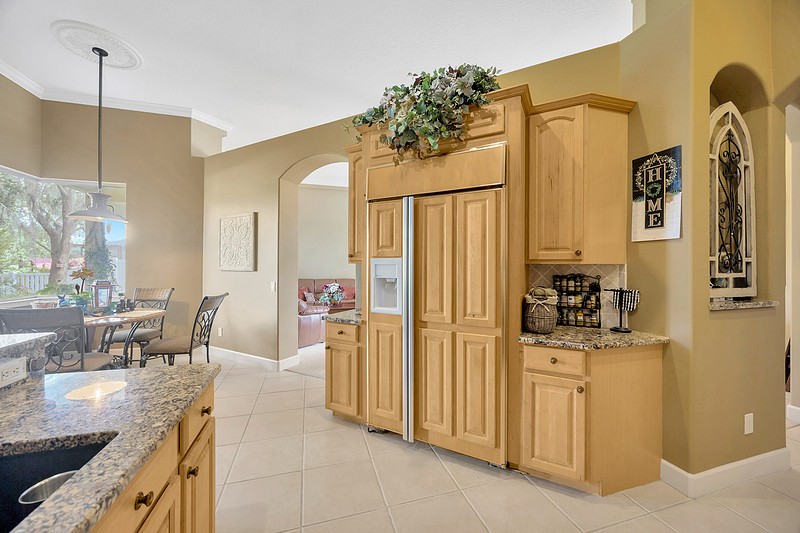 Elfyer - Land O Lakes, FL House - For Sale