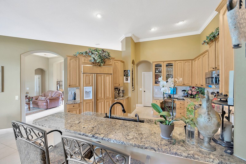 Elfyer - Land O Lakes, FL House - For Sale