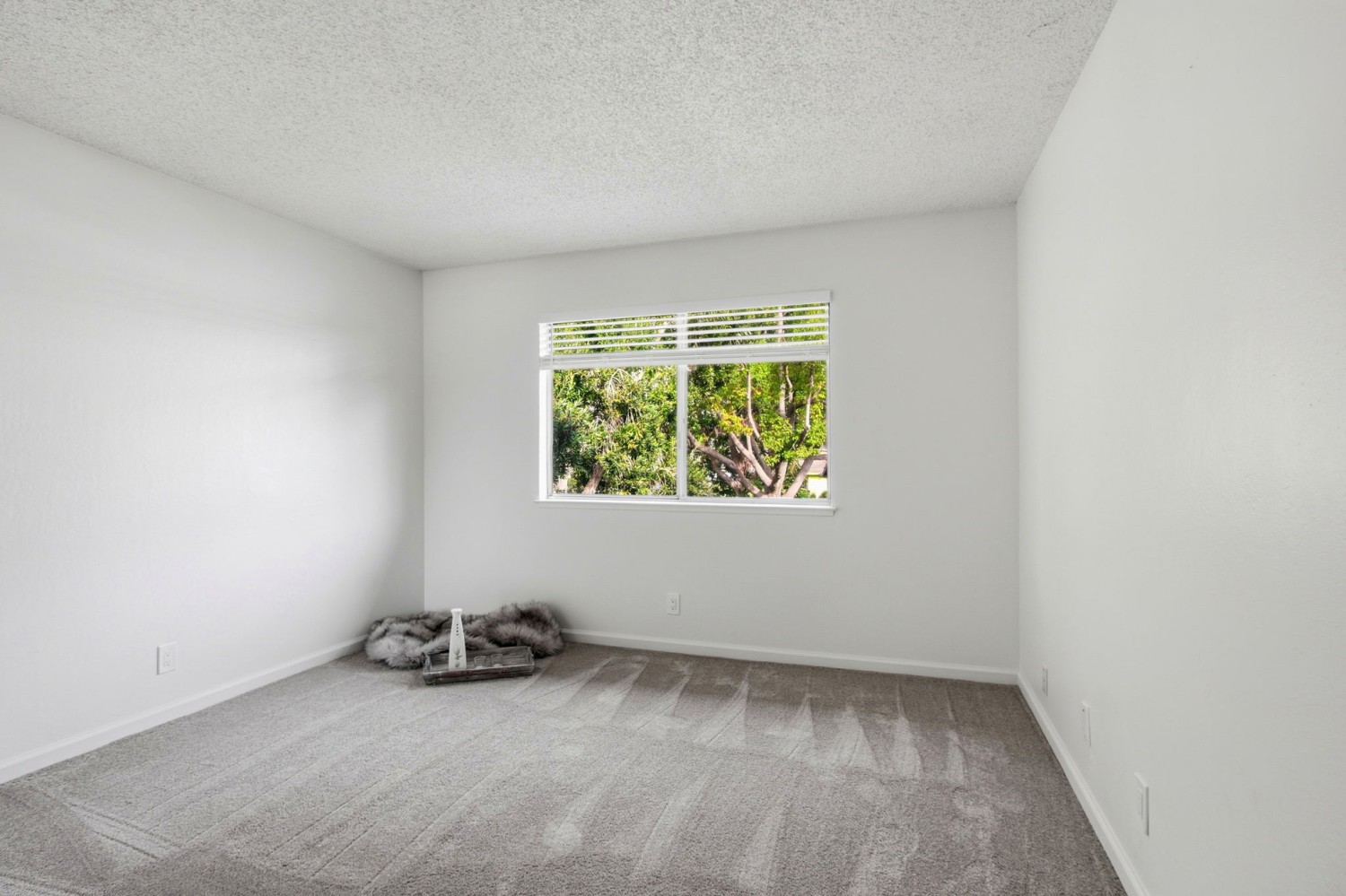 Elfyer - San Jose, CA House - For Sale