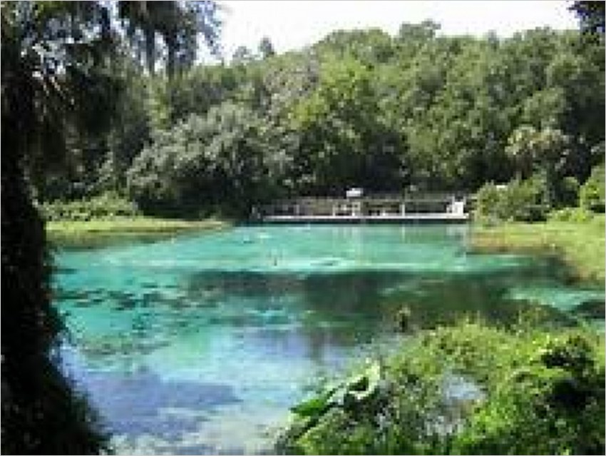 Elfyer - Citrus Springs, FL House - For Sale