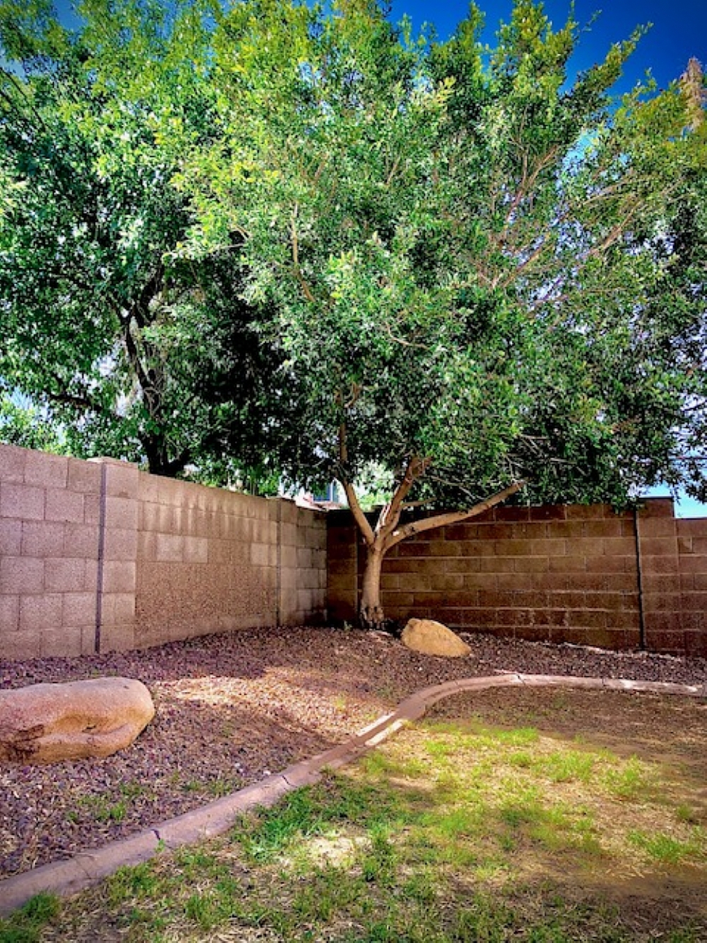 Elfyer - Peoria, AZ House - For Sale