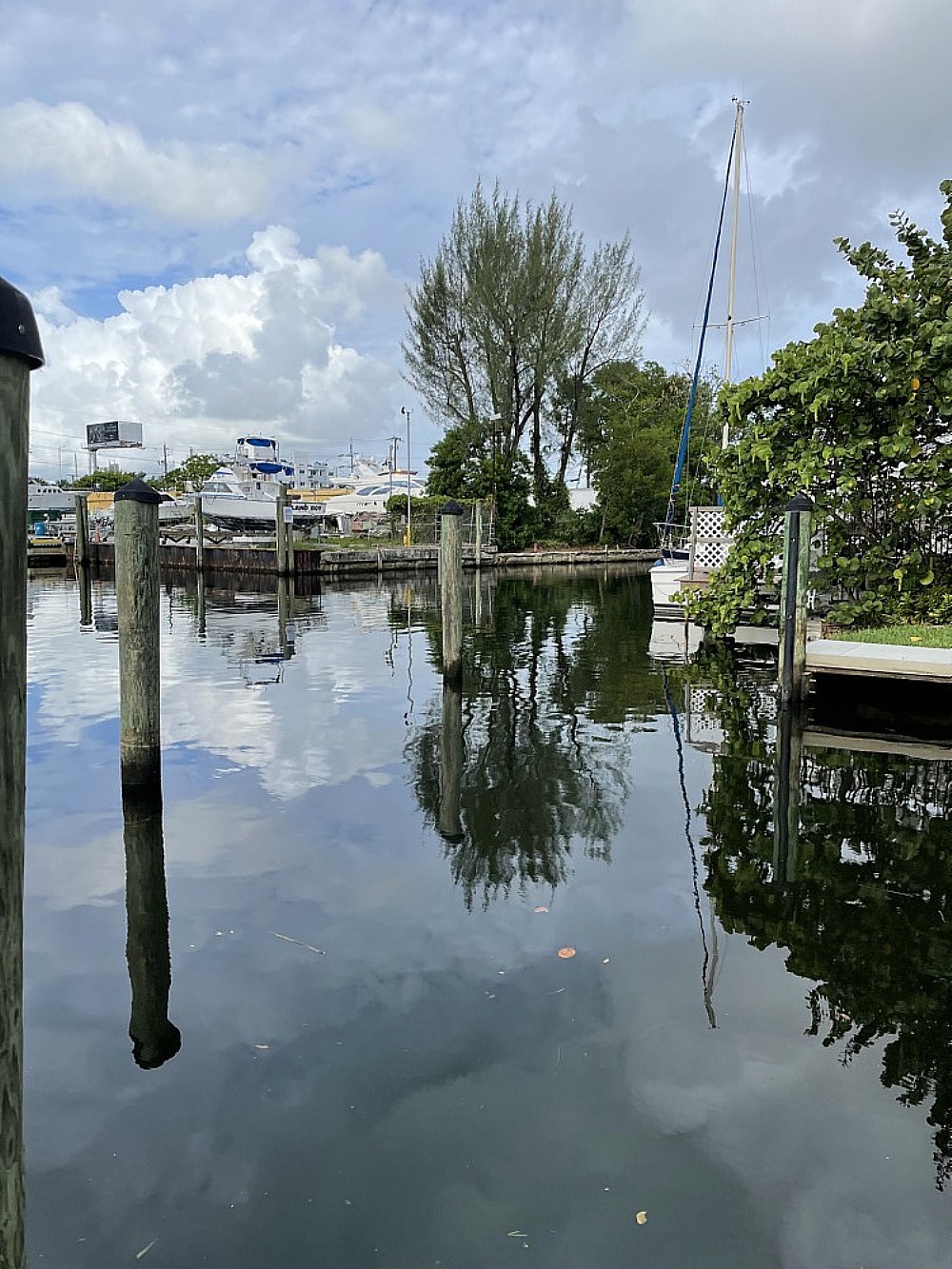 Elfyer - Miami, FL House - For Sale