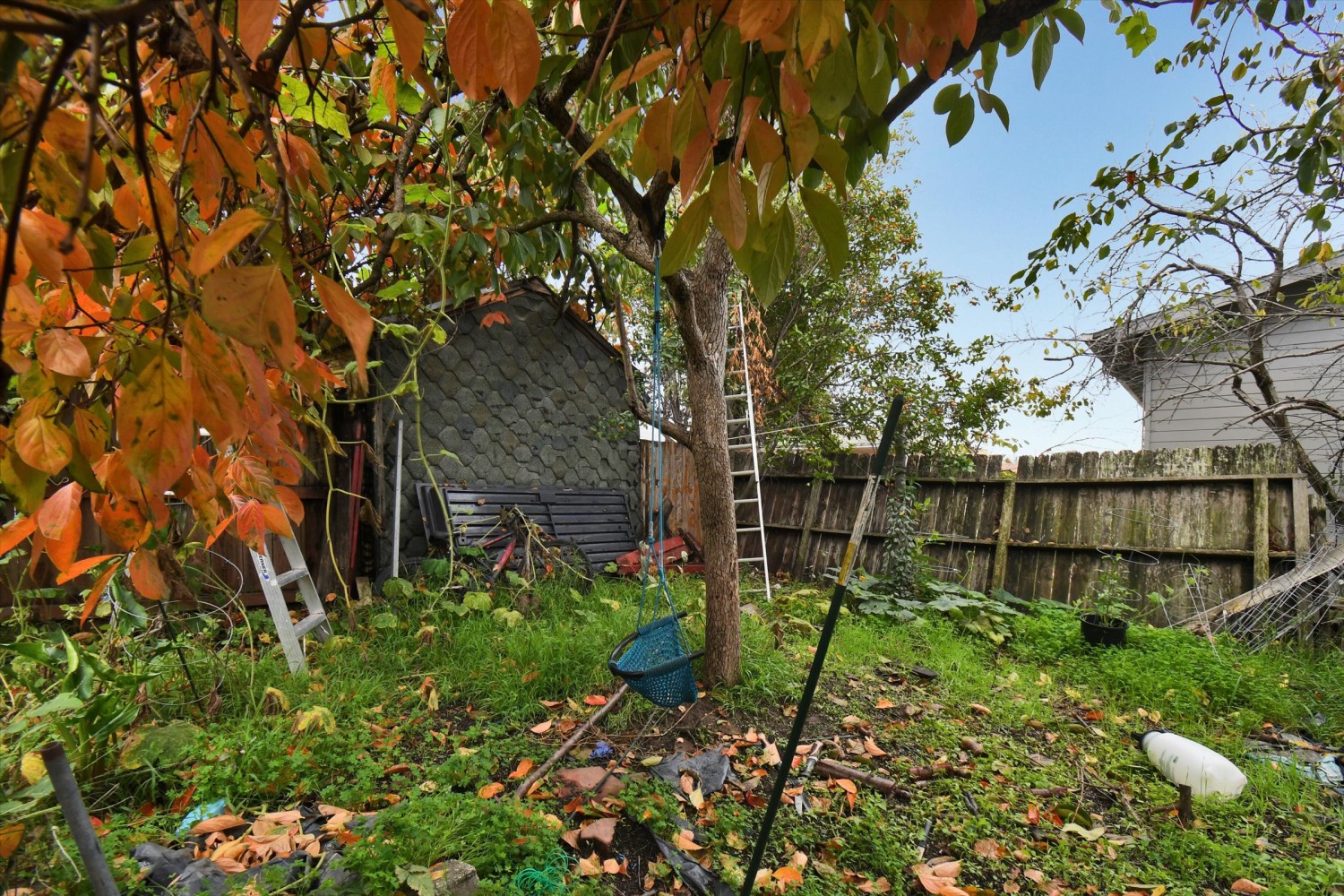 Elfyer - Oakland, CA House - For Sale