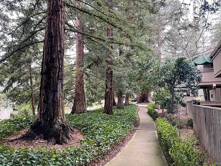 Elfyer - Saratoga, CA House - For Sale