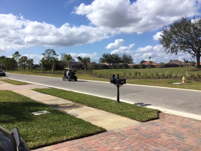 Elfyer - Alva, FL House - For Sale