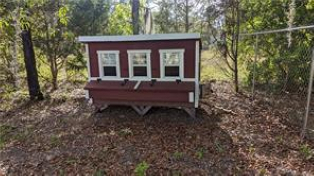 Elfyer - Homosassa, FL House - For Sale