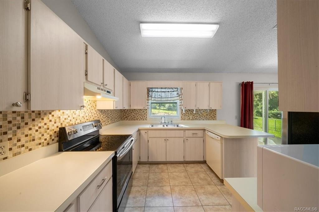 Elfyer - Homosassa, FL House - For Sale