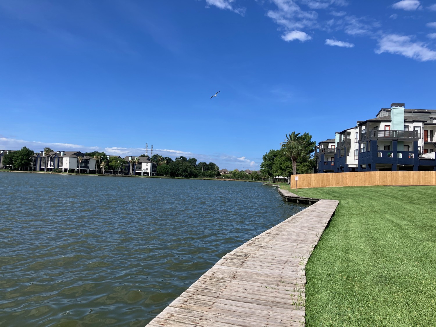Elfyer - Webster, TX House - For Sale