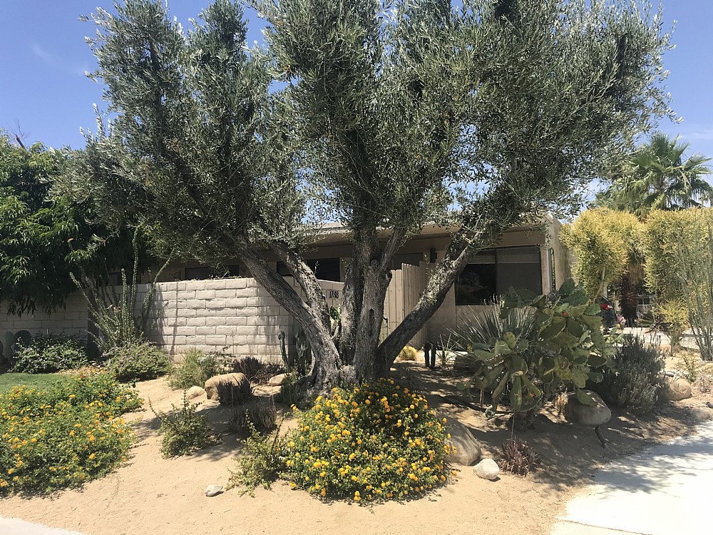 Elfyer - Palm Springs, CA House - For Sale