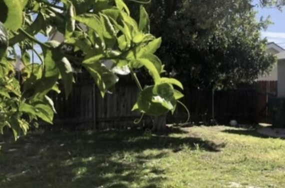 Elfyer - Arcadia, CA House - For Sale
