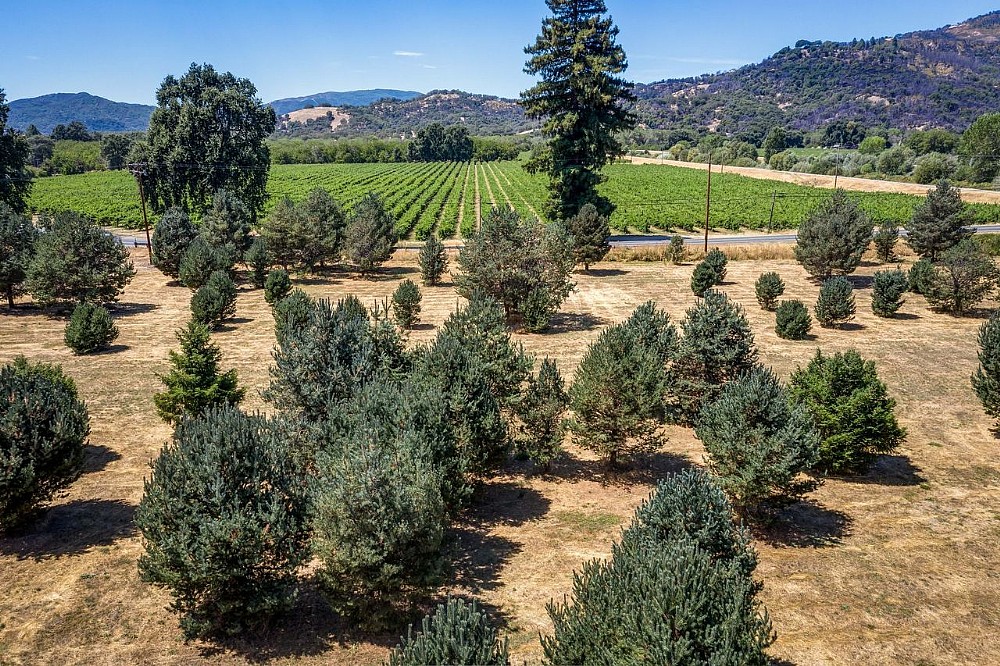 Elfyer - Upper Lake, CA House - For Sale