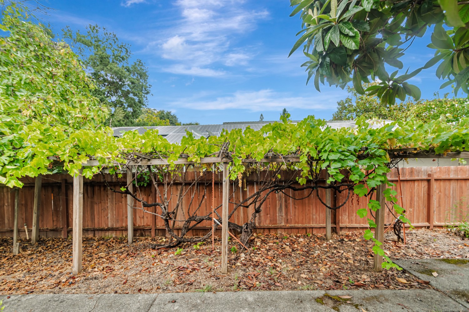 Elfyer - Calistoga, CA House - For Sale