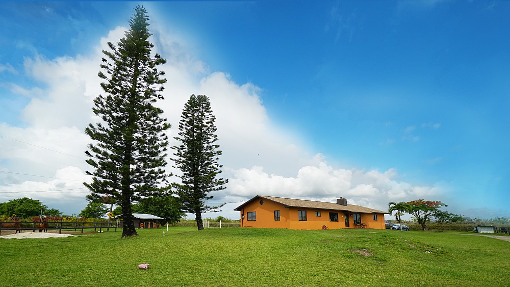 Elfyer - Miami, FL House - For Sale