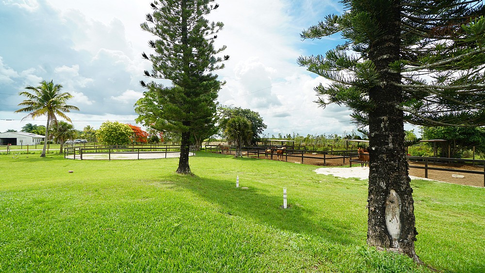 Elfyer - Miami, FL House - For Sale