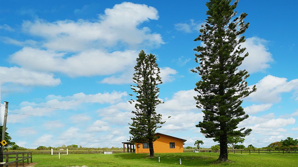 Elfyer - Miami, FL House - For Sale