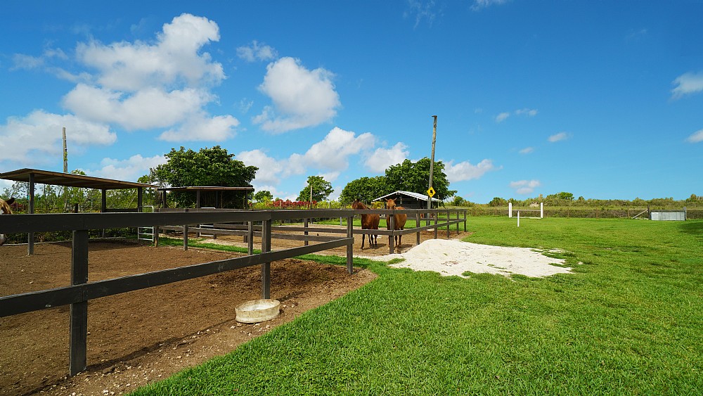 Elfyer - Miami, FL House - For Sale