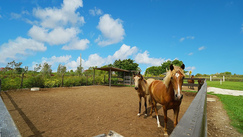 Elfyer - Miami, FL House - For Sale