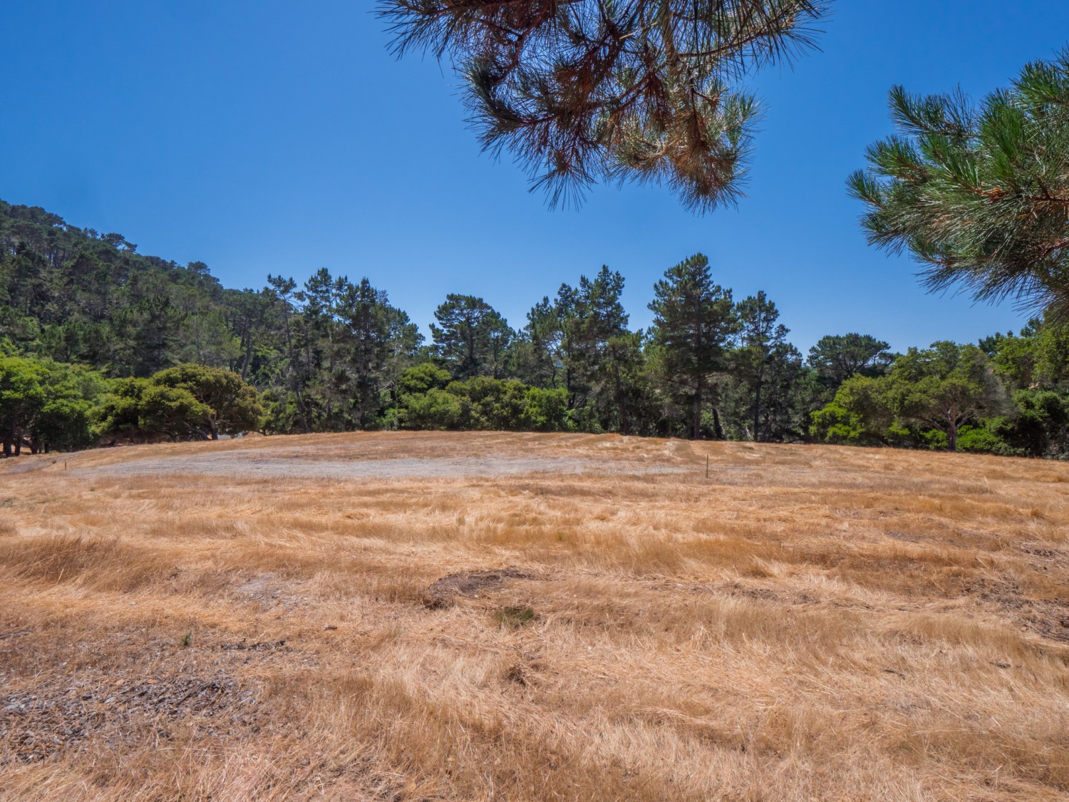 Elfyer - Monterey, CA House - For Sale