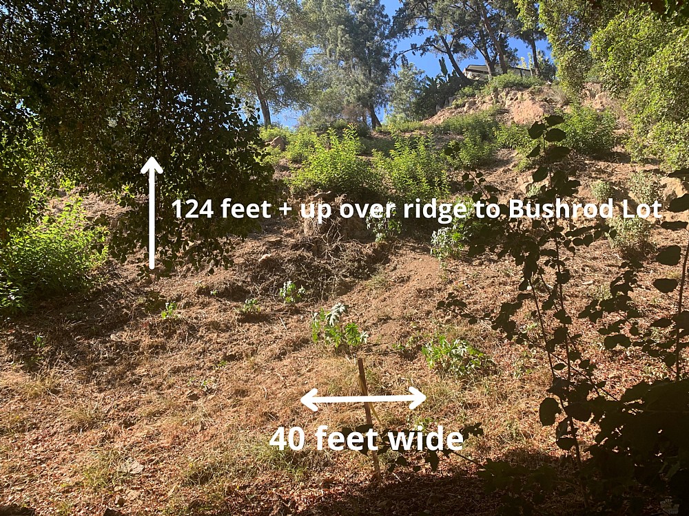 Elfyer - Los Angeles, CA House - For Sale