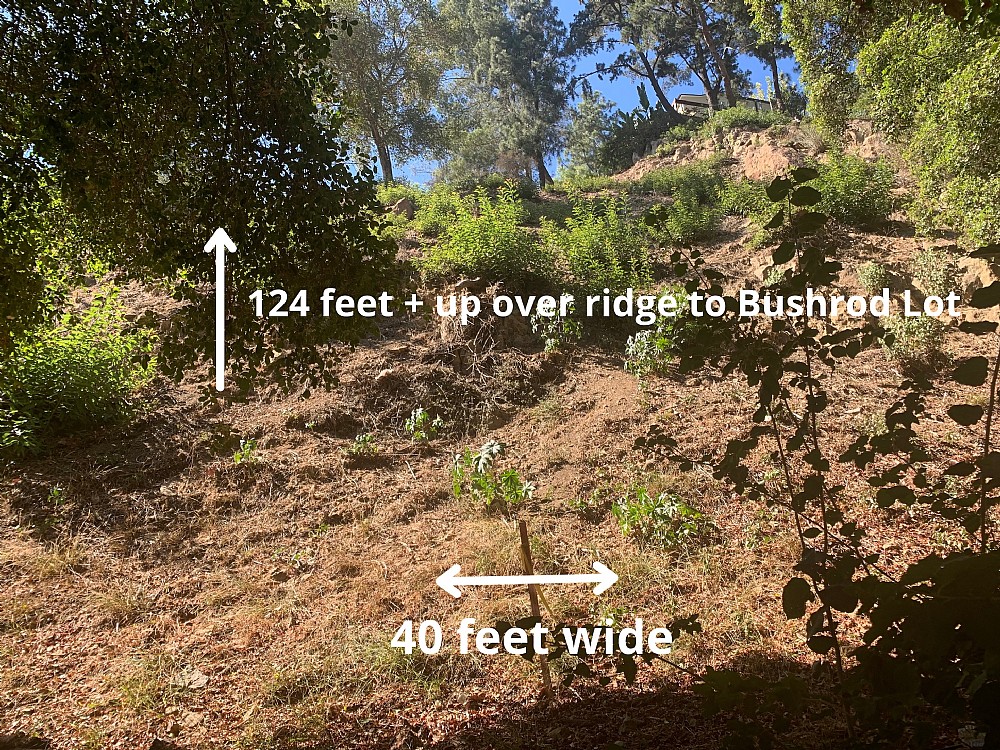 Elfyer - Los Angeles, CA House - For Sale