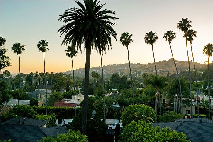 Elfyer - Hollywood, CA House - For Sale