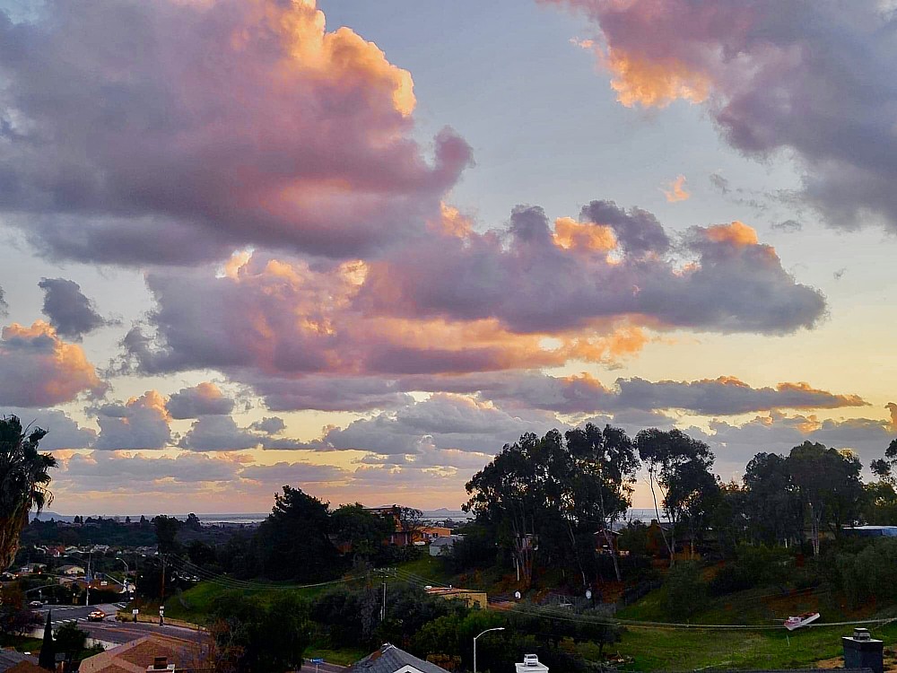 Elfyer - San Diego, CA House - For Sale