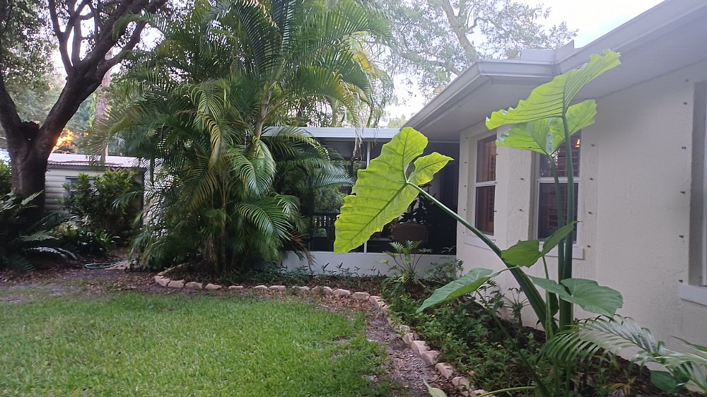 Elfyer - Sebastian, FL House - For Sale