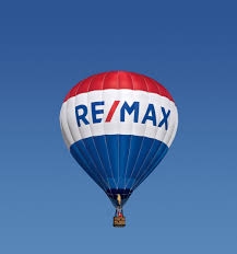 remax platinum realty - Logo