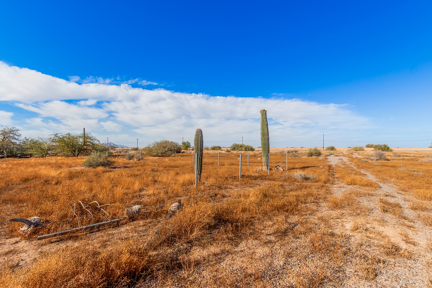 Elfyer - Casa Grande, AZ House - For Sale