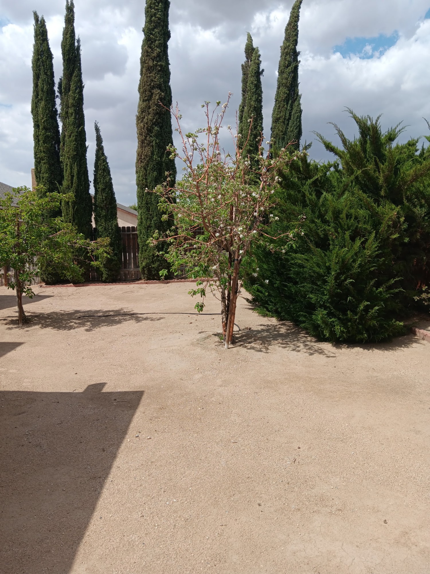 Elfyer - Adelanto, CA House - For Sale