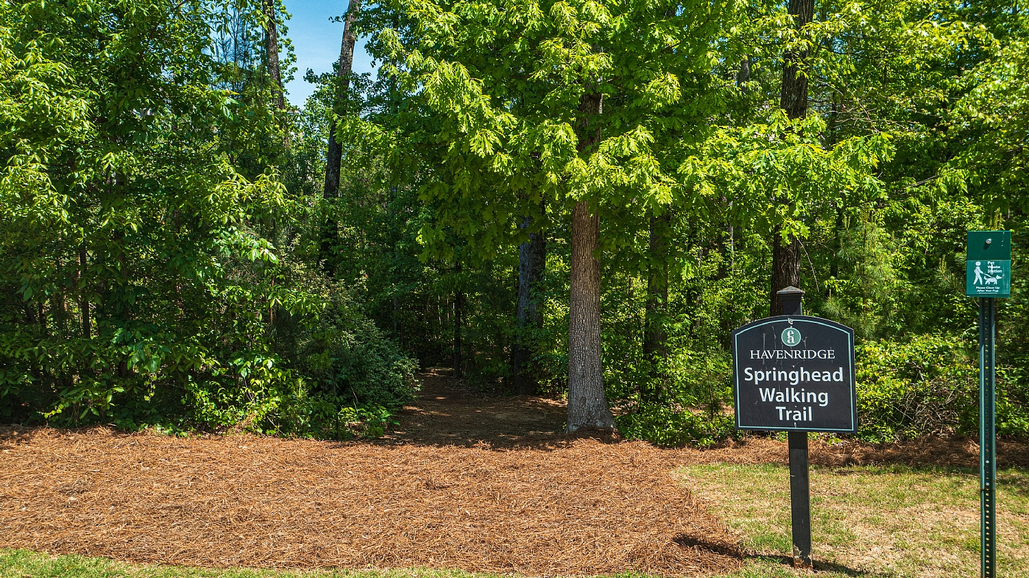 Elfyer - Roswell, GA House - For Sale