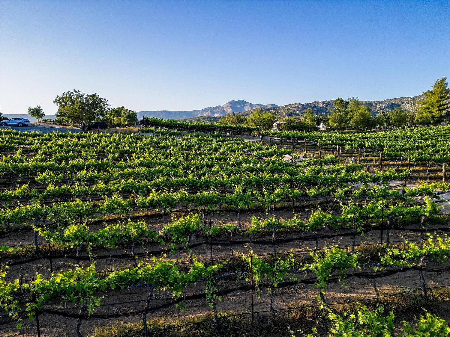 Elfyer - Warner Springs, CA House - For Sale