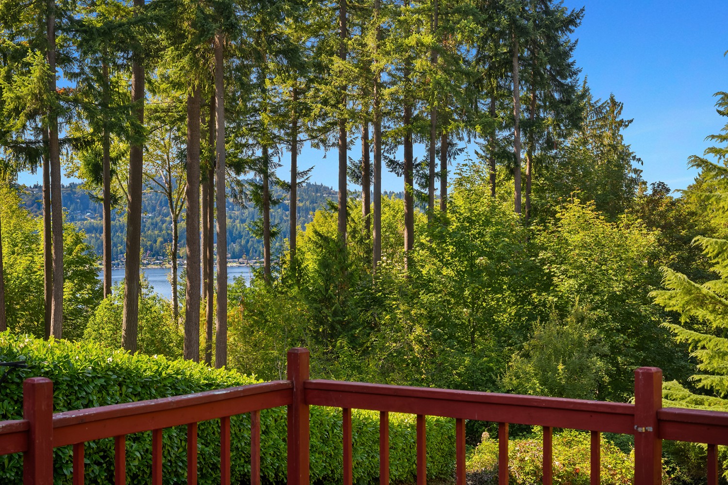 Elfyer - Sammamish, WA House - For Sale