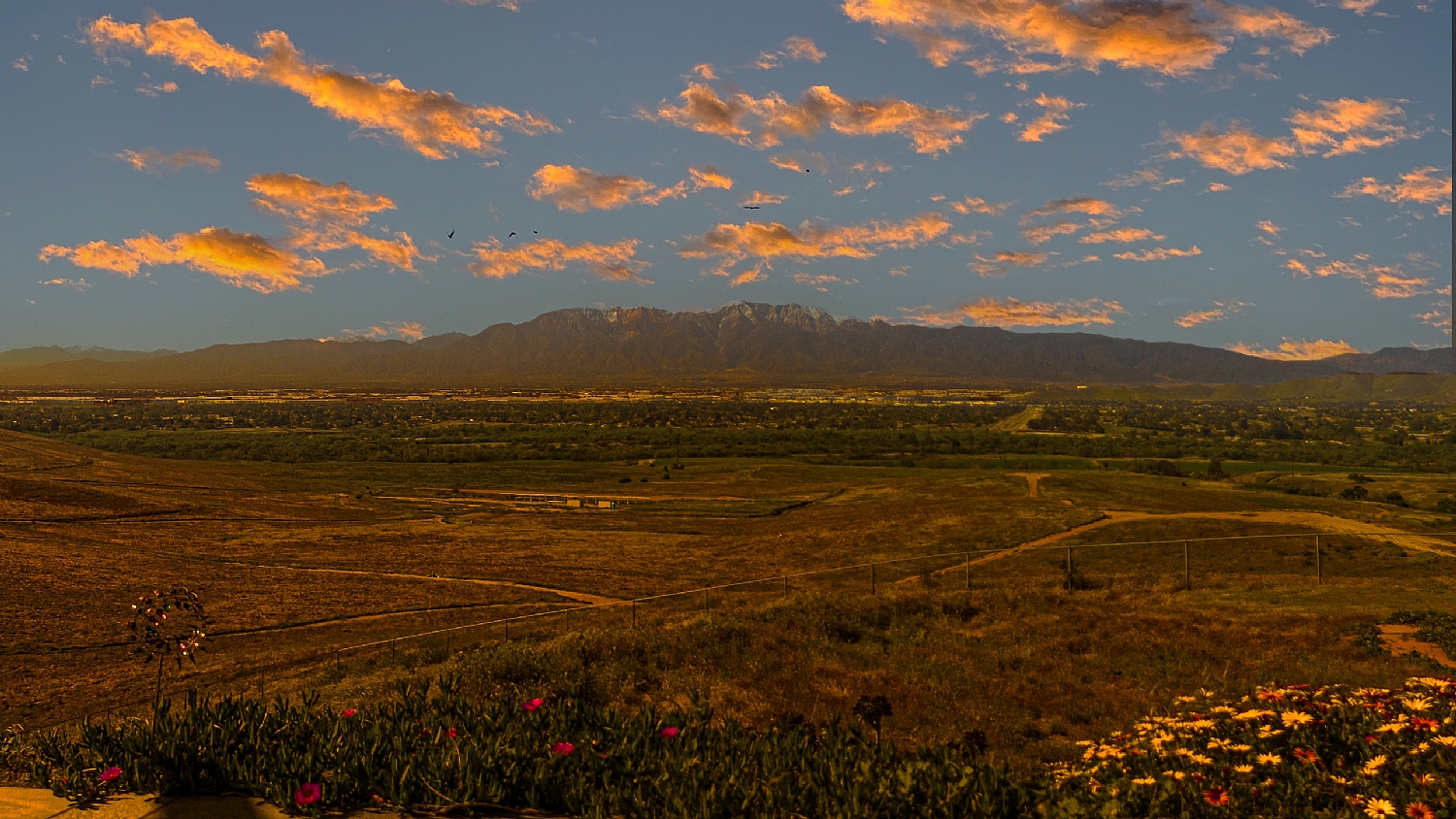 Elfyer - Riverside, CA House - For Sale