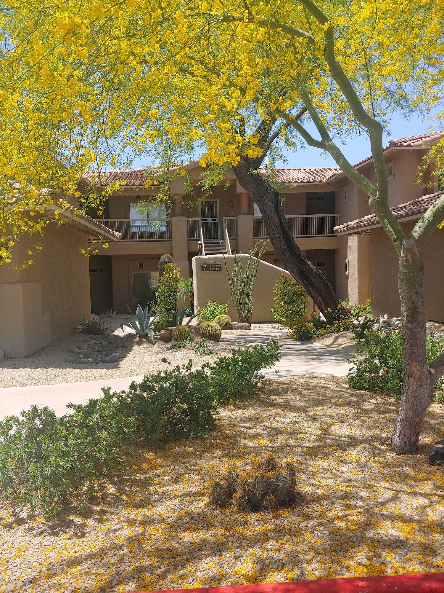 Elfyer - Scottsdale, AZ House - For Sale