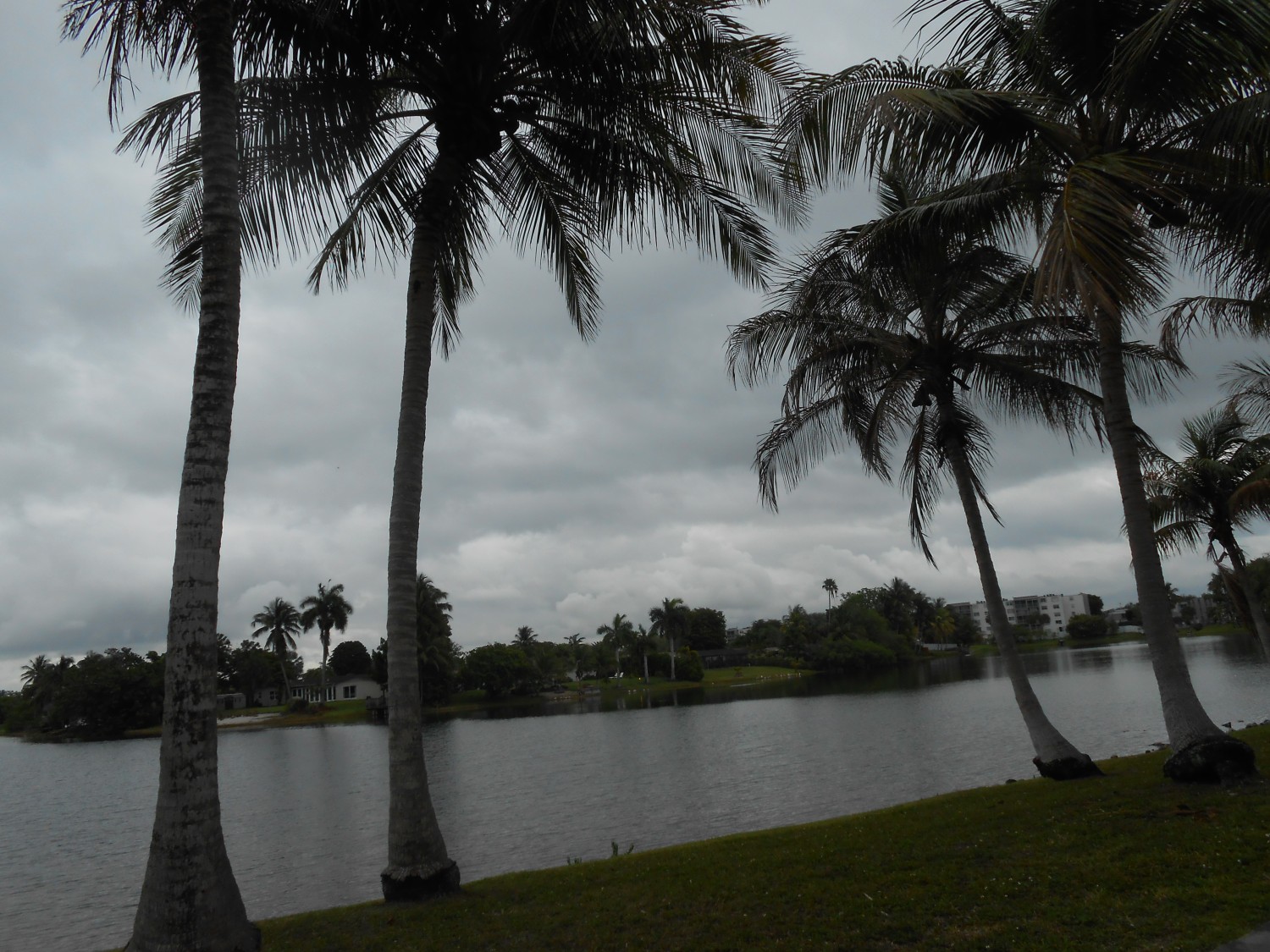 Elfyer - Miami, FL House - For Sale